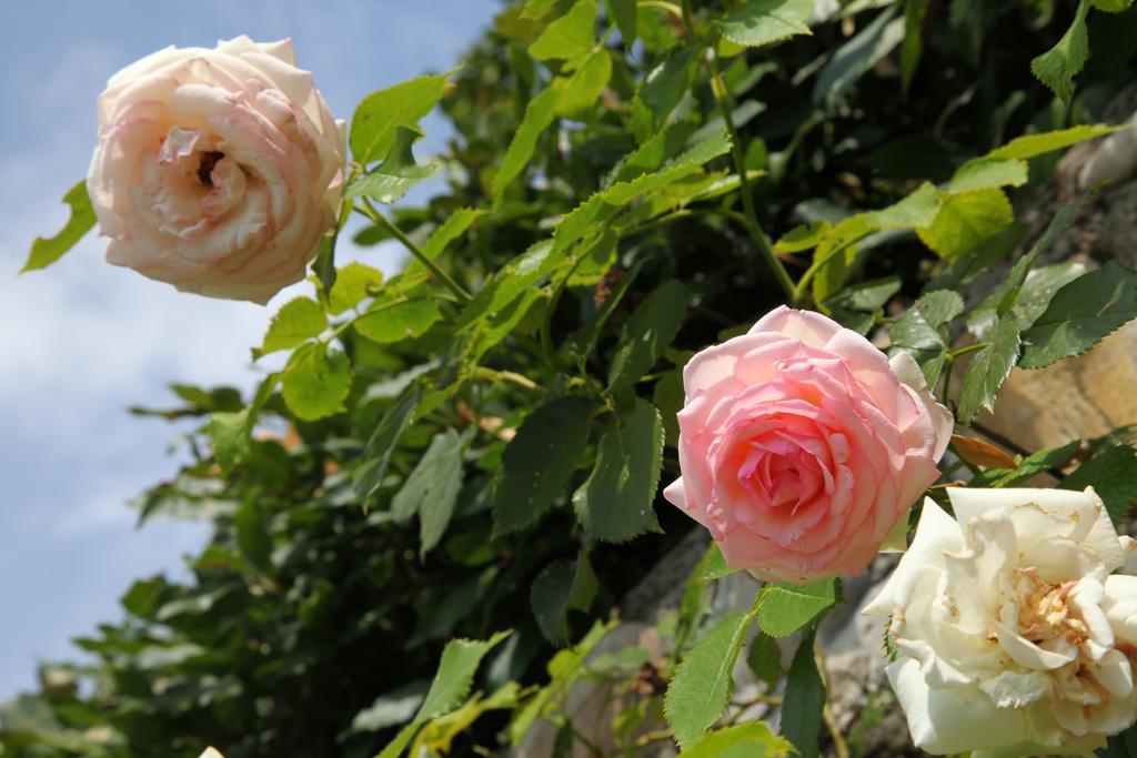 Rovezzano B&B Florens Exteriör bild