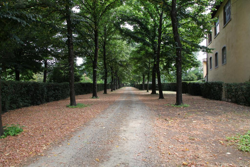 Rovezzano B&B Florens Exteriör bild